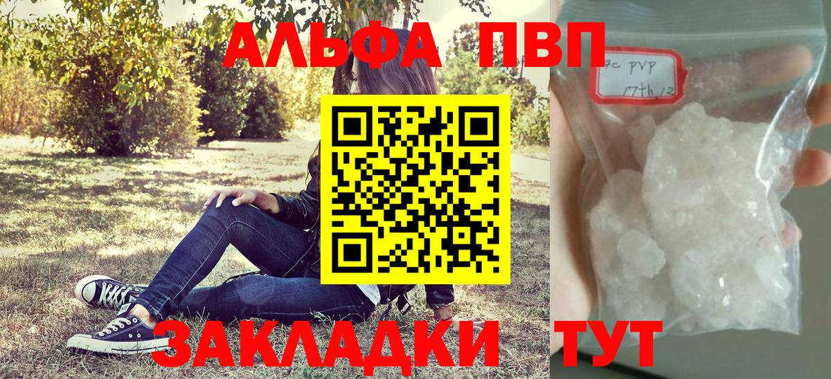 Alfa_PVP СК Кузнецк