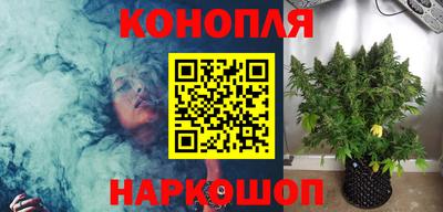 сатива Канаш