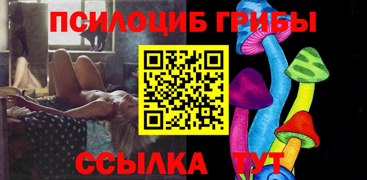 Галлюциногенные грибы Psilocybine cubensis Кузнецк