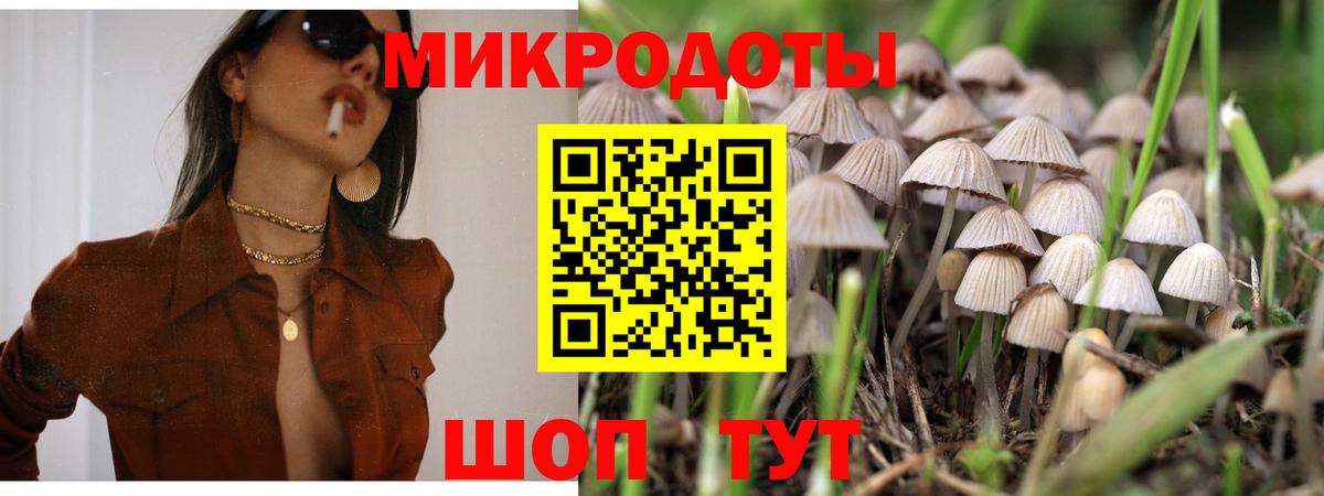 Псилоцибиновые грибы ЛСД  Галлюциногенные грибы MAGIC MUSHROOMS  Вход с VPN  где продают наркотики  Кузнецк 